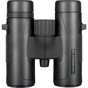 Купить Бінокль Hawke Endurance ED 8х32 ц: чорний  Фото 1