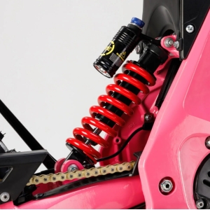 Купить Arctic Leopard Spirit XF Pro Pink  Фото 6