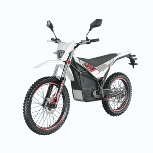 Arctic Leopard MOUNTAIN LEOPARD E-XT 500 L1E white