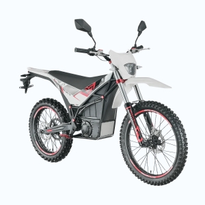 Купить Arctic Leopard MOUNTAIN LEOPARD E-XT 500 L1E white  Фото 1