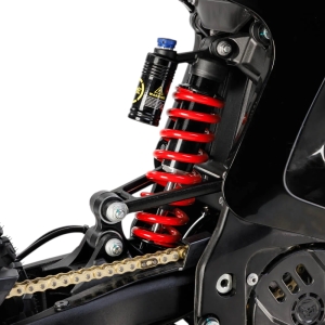 Купить Arctic Leopard Clouded XE PRO S SUPER L1E Gold  Black  Фото 8