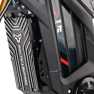 Купить Arctic Leopard Clouded XE PRO R Black  Фото 3